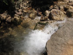מים צלולים הבורעים מנביעות שיאון